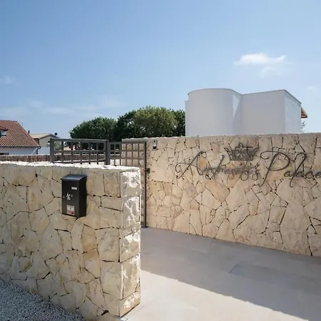 Andresitas Palace By Guide *